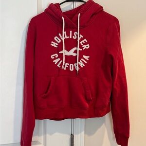 Hollister crop hoodie